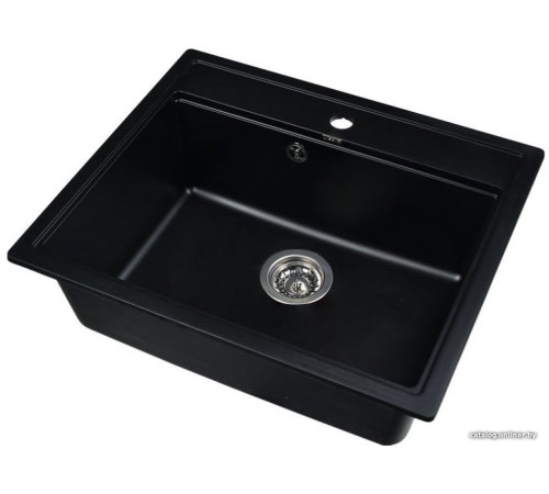 Кухонная мойка Wisent 600-26W с сифоном GER013