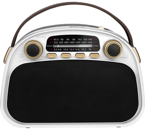 Радиоприемник Ritmix RPR-040 белый