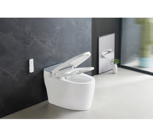 Унитаз приставной Roxen Smart Turbo 670300-02