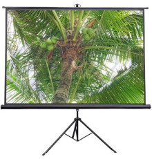 Проекционный экран Future Vision Tripod 240x240 T240SMW