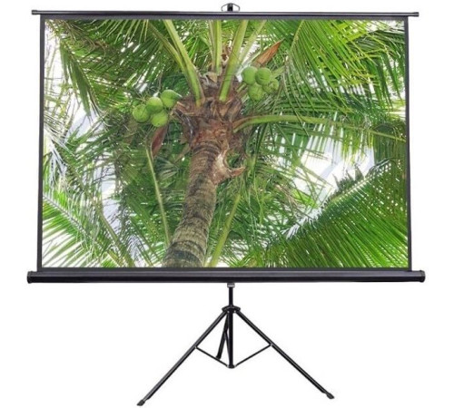 Проекционный экран Future Vision Tripod 240x240 T240SMW