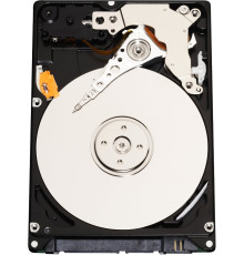 Жесткий диск Infortrend HESS10S3120-0030C 1.2TB