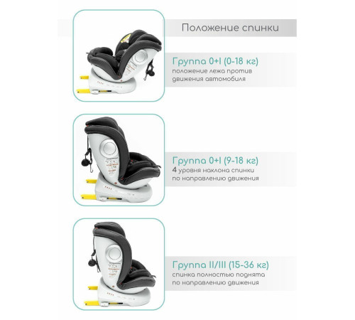 Детское автокресло Amarobaby Champion Isofix AMARO-2008CH-Ch черный
