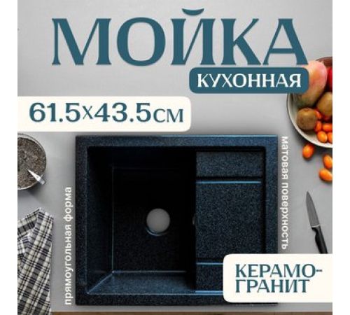 Кухонная мойка Saniteco Fortis черный