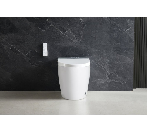 Унитаз приставной Roxen Smart Turbo 670300-02