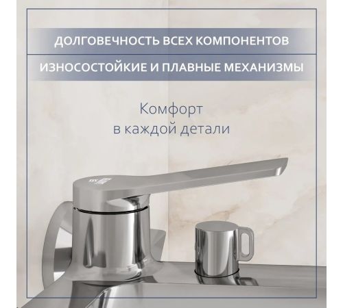 Смеситель Lauter Silk 21СК6572С с душевым гарнитуром Vibe 63067