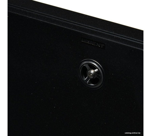 Кухонная мойка Wisent 580-25WQ с сифоном GER011