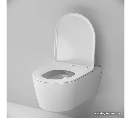 Унитаз подвесной AM.PM Func C8F1700SC