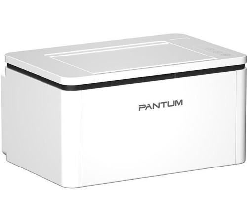 Принтер Pantum BP2300W