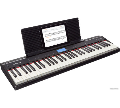 Цифровое пианино Roland Go:Piano GO-61P
