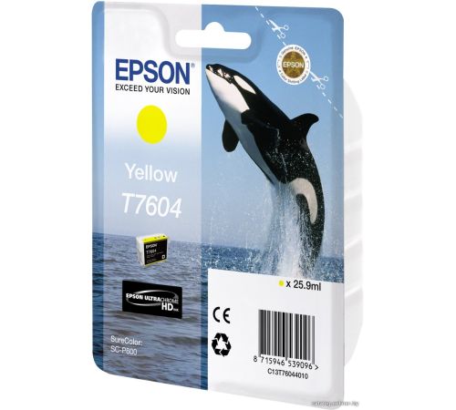 Картридж Epson C13T76044010