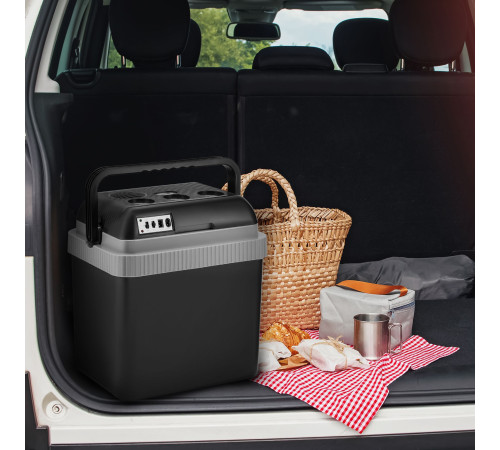 Термоэлектрический автохолодильник Coolfort CF-0233 25л черный