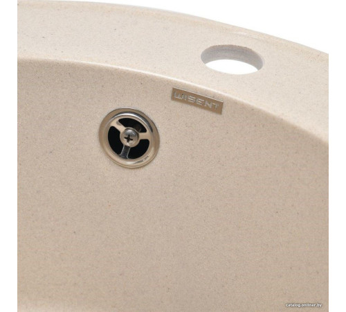 Кухонная мойка Wisent 480-30WR с сифоном GER013