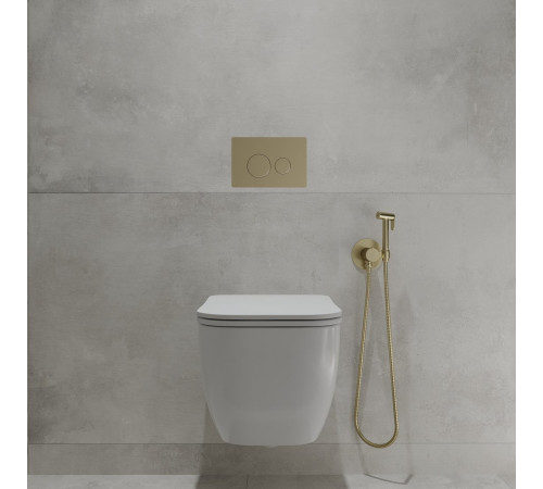 Унитаз подвесной Oliveeka OL-MQ1216R22-BG золотой матовый