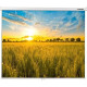 Проекционный экран Lumien Eco Picture 178x280 LEP-100124