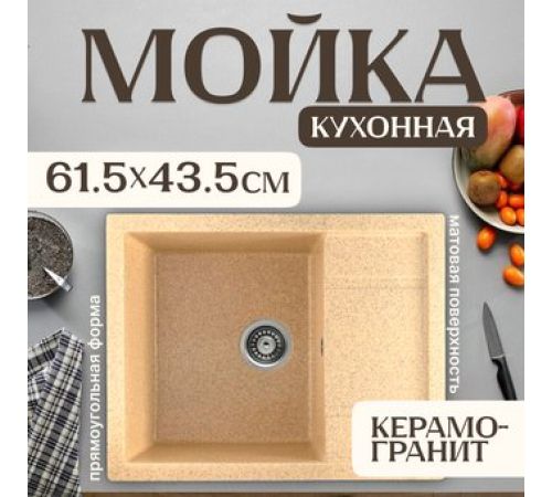 Кухонная мойка Saniteco Fortis песок