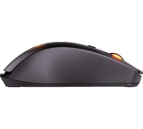 Игровая мышь Cougar Surpassion RX черный