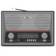 Радиоприемник Ritmix RPR-102 карбон