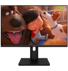 Монитор Aiwa MF2203