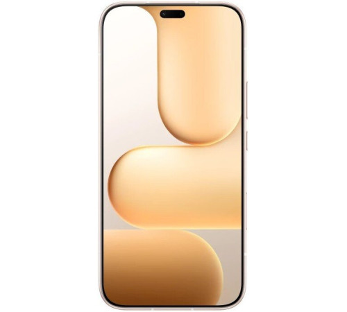 Телефон HONOR 600 Lite 8GB/256GB международная версия пустынное золото