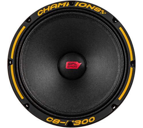 Среднечастотная АС SPL C8-M300