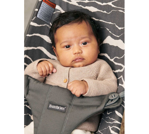 Шезлонг BabyBjorn Bliss Cotton 0060.27