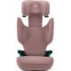 Детское автокресло Britax Romer Discovery Plus 2 dusty rose