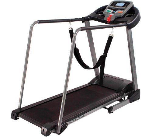 Электрическая беговая дорожка DFC Walker EVO T-S1