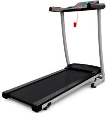 Электрическая беговая дорожка DFC Blues T-113