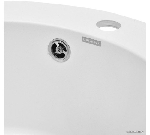 Кухонная мойка Wisent 510-28WR с сифоном GER013