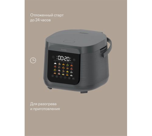 Мультиварка Tuvio TMC04D5S
