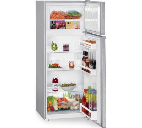 Холодильник Liebherr CTele 2531