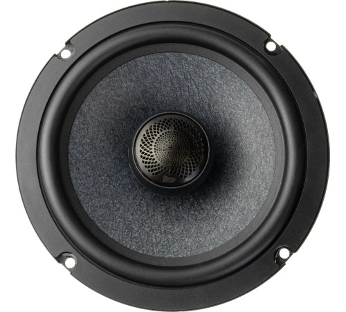 Коаксиальная АС AMP Pro X 652 v3