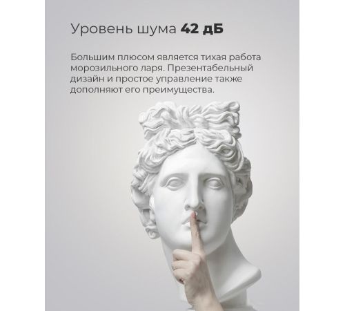 Морозильный ларь MAUNFELD MFL300GR