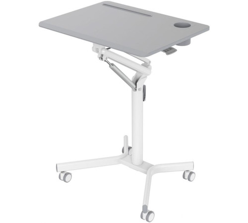 Стол для ноутбука CACTUS CS-FDS101WGY