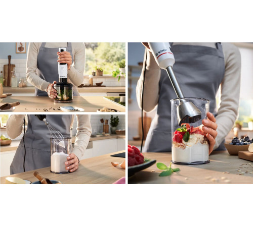 Погружной блендер Bosch ErgoMaster MSM4W421