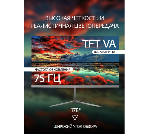 Монитор Leff 24FV100