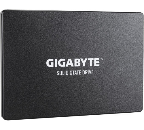 SSD Gigabyte 1TB GP-GSTFS31100TNTD
