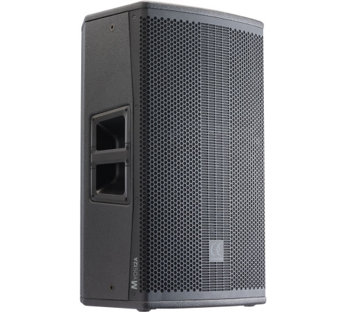 Активная акустика Audiophony Myos12A