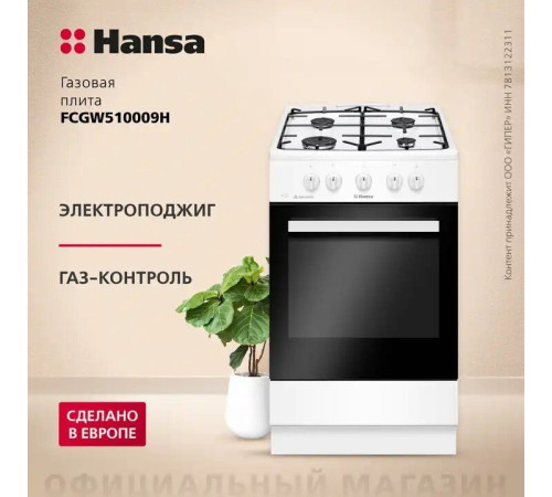 Кухонная плита Hansa FCGW510009H