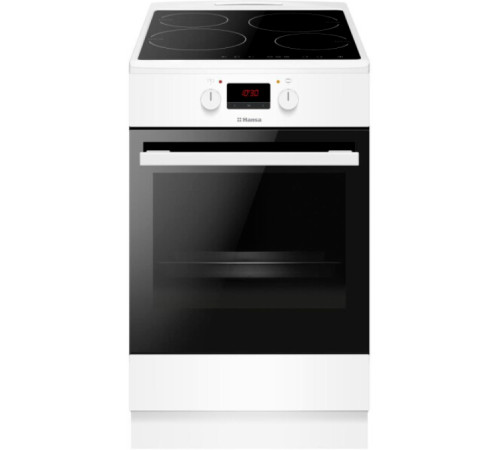 Кухонная плита Hansa FCIW59209
