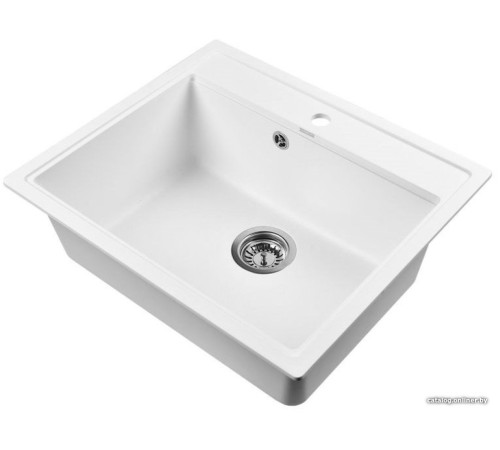 Кухонная мойка Wisent 600-28W с сифоном GER013