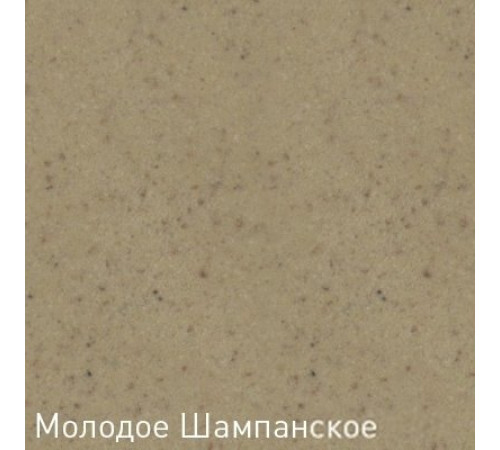 Кухонная мойка Zigmund & Shtain Platz 560 молодое шампанское