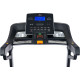 Электрическая беговая дорожка Titanium Masters Physiotech TLF