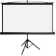 Проекционный экран PL Magna TRM-PC-113D