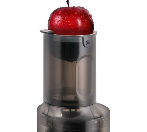 Соковыжималка Zigmund & Shtain ESJ-771