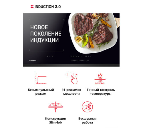 Варочная панель Hansa BHI67116