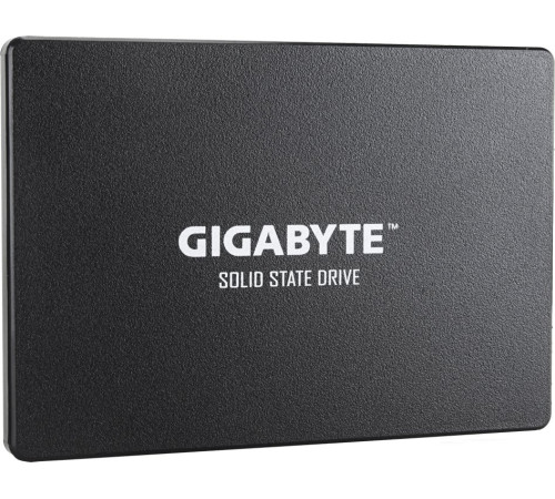 SSD Gigabyte 256GB GP-GSTFS31256GTND