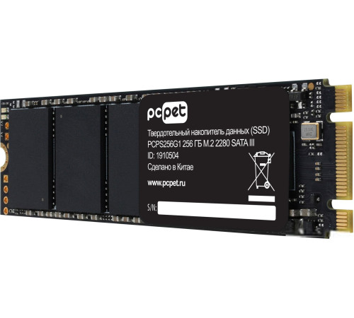 SSD PC Pet 256GB PCPS256G1