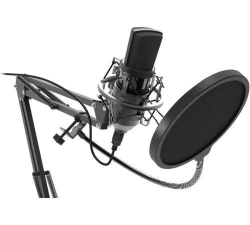 Микрофон Ritmix RDM-169